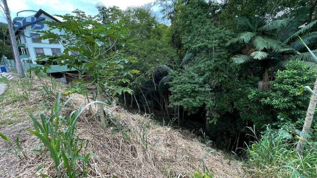 TERRENO NO JARDIM BLUMENAU
