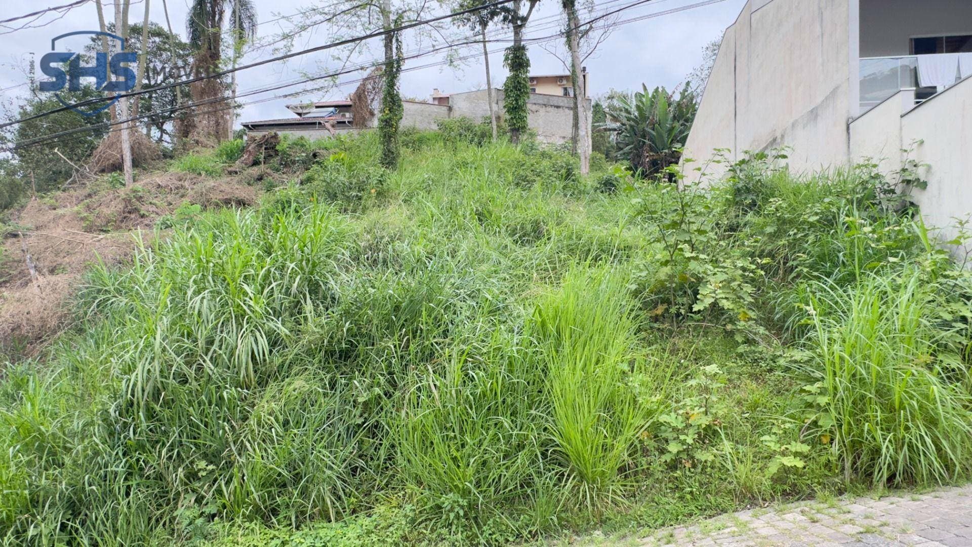 Terreno à venda, 465 m por R$ 295.000,00 - Escola Agrícola - Blumenau/SC - foto 1