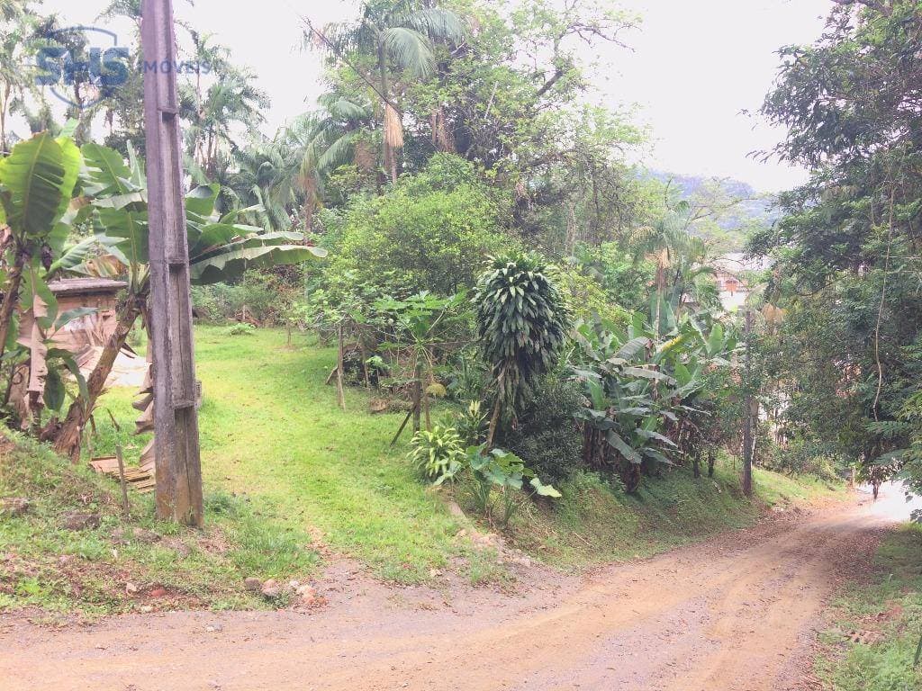 Terreno residencial à venda, Salto do Norte, Blumenau.