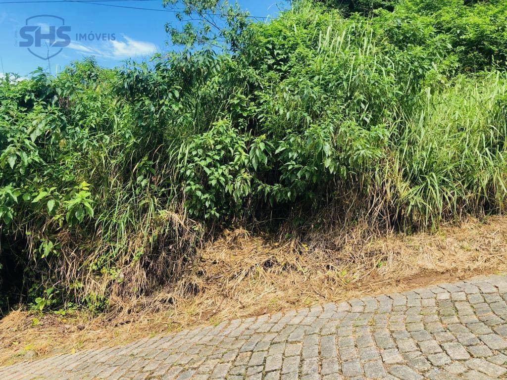 Terreno à venda, 450 m por R$ 219.000,00 - Asilo - Blumenau/SC