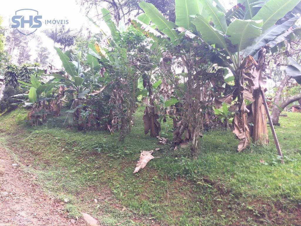 Terreno residencial à venda, Salto do Norte, Blumenau.