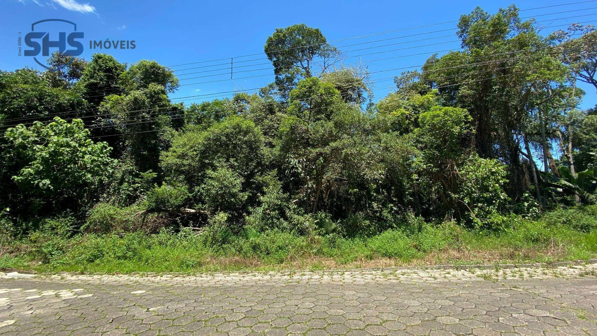 Terreno à venda, 1387 m por R$ 350.000,00 - Garcia - Blumenau/SC