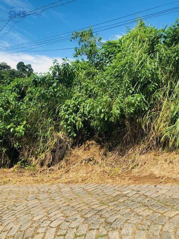 Terreno à venda, 450 m por R$ 219.000,00 - Asilo - Blumenau/SC