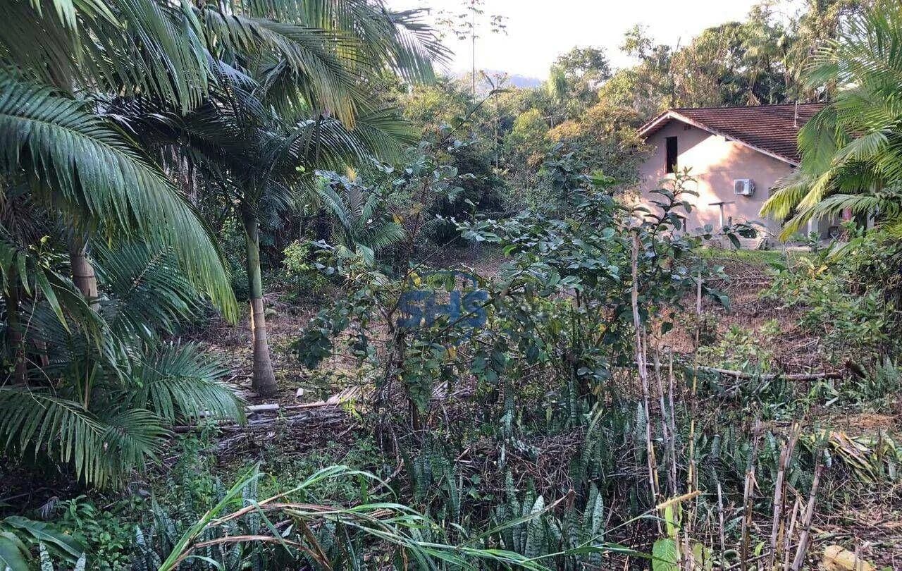 Terreno à venda, 3674 m por R$ 650.000,00 - Fidélis - Blumenau/SC