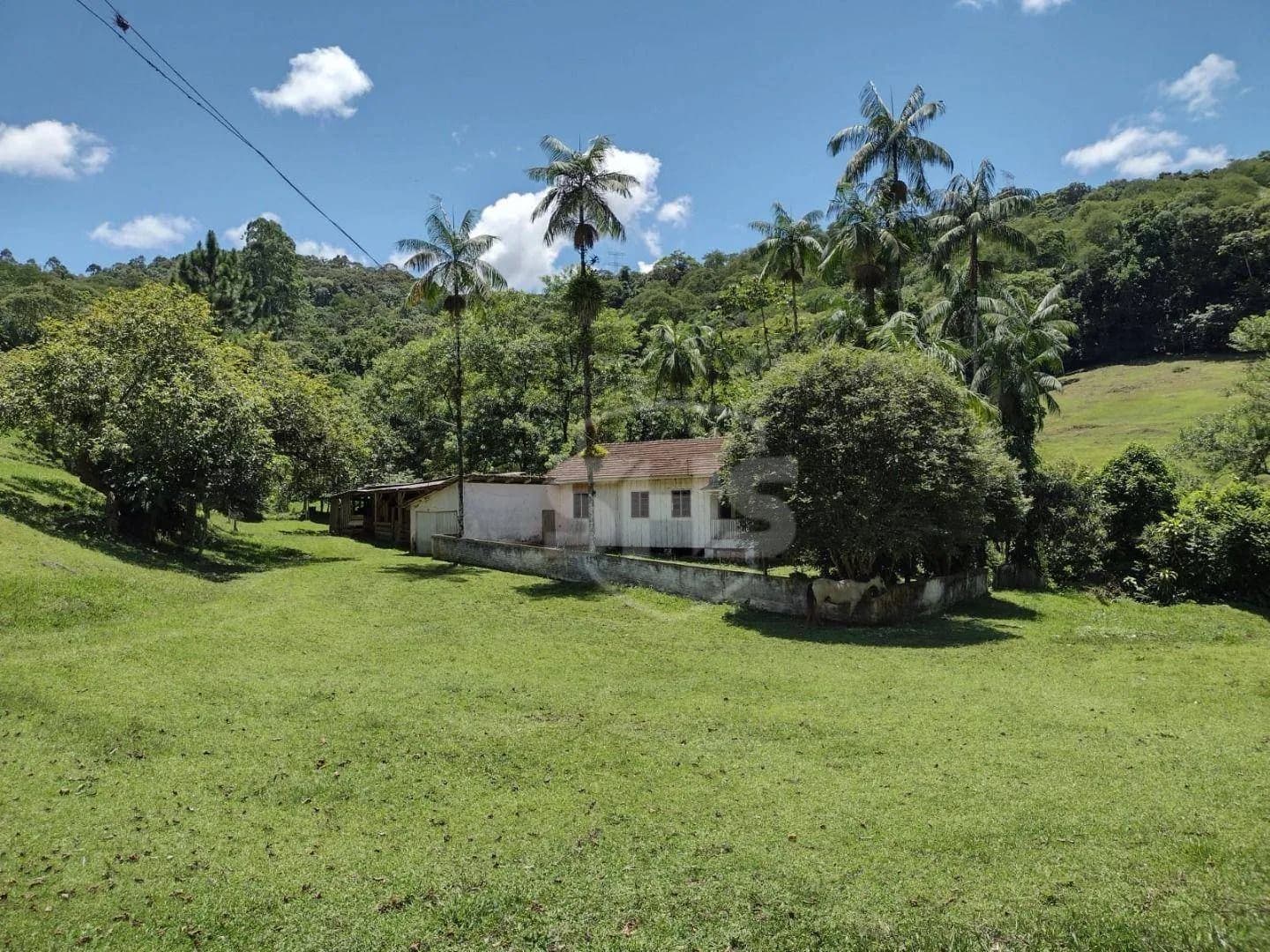 Terreno à venda, 53000 m por R$ 990.000,00 - Belchior Baixo - Gaspar/SC