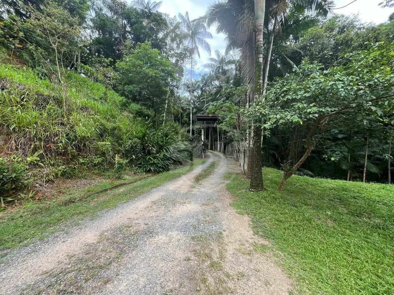 Sítio com 3 dormitórios à venda, 35000 m por R$ 2.300.000,00 - Glória - Blumenau/SC